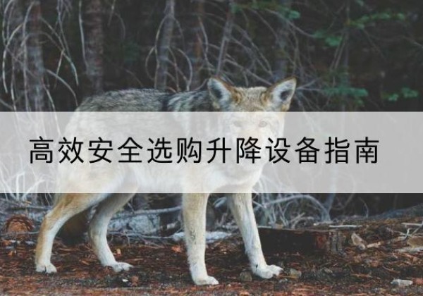 横峰升降货梯厂家推荐-*安全选购升降设备指南