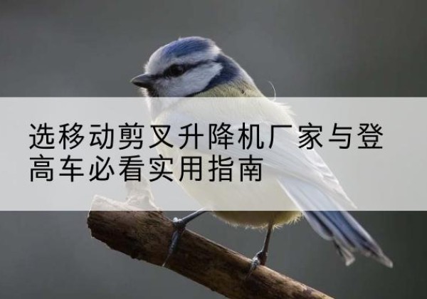 横峰电动升降机厂家-选移动剪叉升降机厂家与登高车必看实用指南