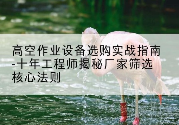 横峰剪叉式升降机厂家-高空作业设备选购实战指南-十年工程师揭秘厂家筛选核心法则